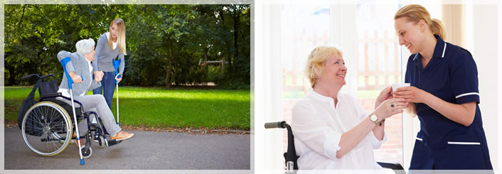 caregiver and seniors